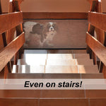 Petefy Magic Gate for Dogs